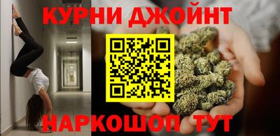 spice Кингисепп