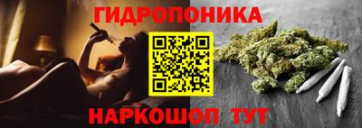 spice Кингисепп