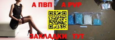 spice Кингисепп
