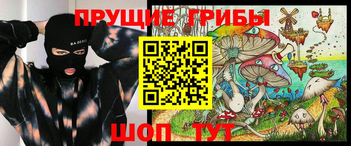 Кувандык  Галлюциногенные грибы Magic Shrooms  Вход с VPN 