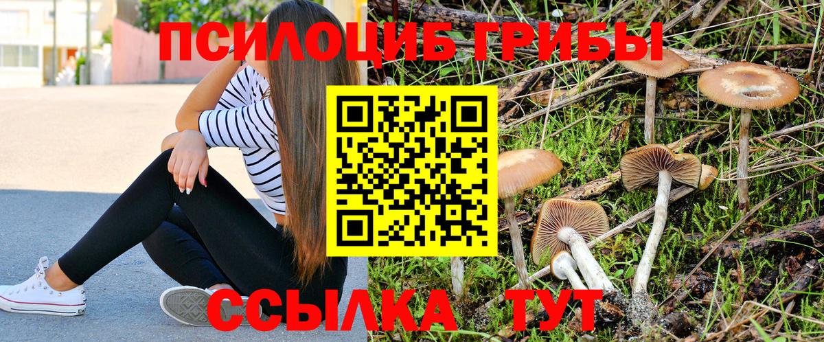 Псилоцибиновые грибы ЛСД Кувандык