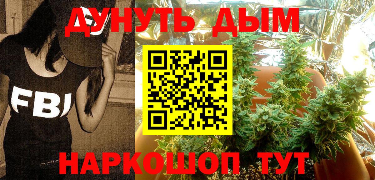МАРИХУАНА SATIVA & INDICA  Бошки Шишки семена  Вход с VPN  Канабис THC 21%  Кувандык 